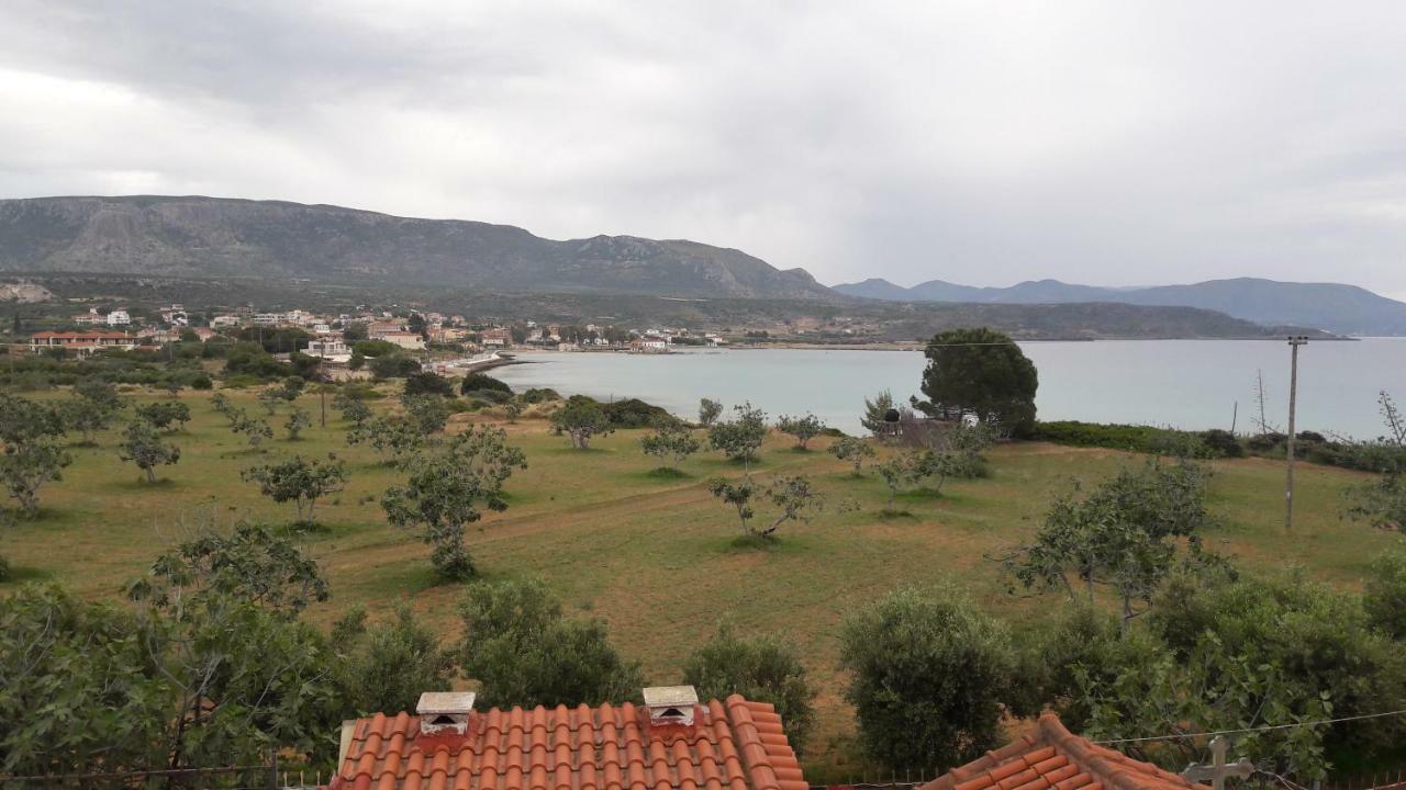 Savvas * Plitra